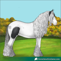 Horse Color:Black Splash Tobiano 