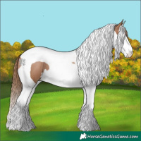 Horse Color:Black Pearl Splash Tobiano 
