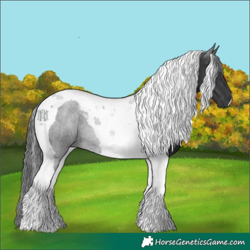 Horse Color:Black Tobiano 