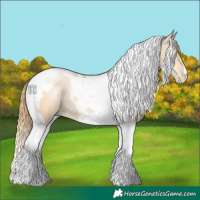Horse Color:Smoky Black Pearl Tobiano 