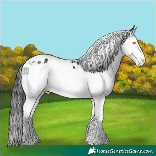Horse Color:Black Splash Tobiano 