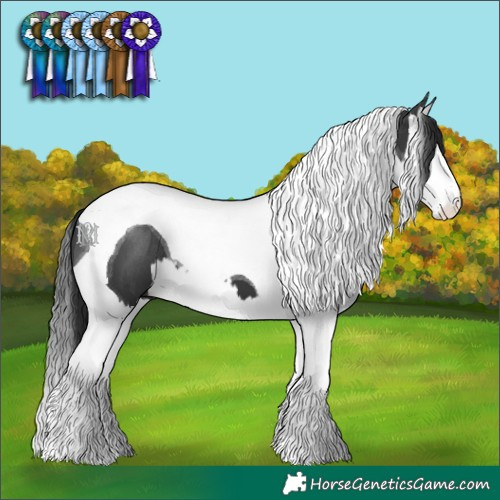 Horse Color:Black Splash Tobiano 