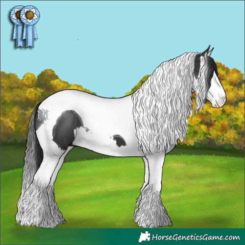 Horse Color:Black Splash Tobiano 