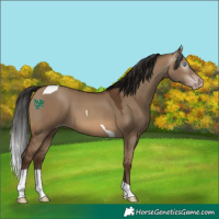 Horse Color:Gray Sable Champagne Dun Tobiano 