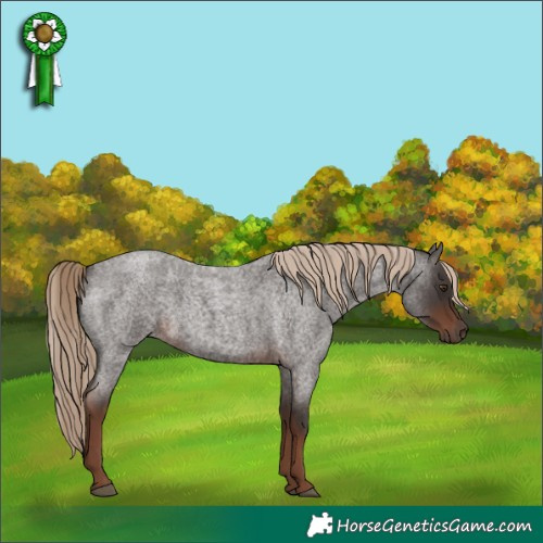 Horse Color:White Spotted Liver Red Roan Rabicano 
