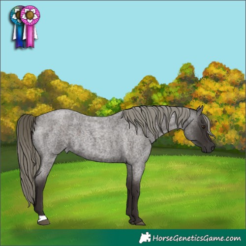 Horse Color:Liver Red Roan Mushroom 