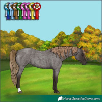 Horse Color:Liver Red Roan 
