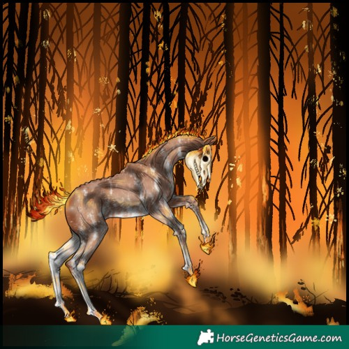 Horse Color:Chestnut Sabino 