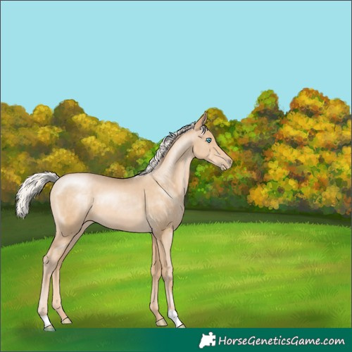 Horse Color:Silver Buckskin Pearl 