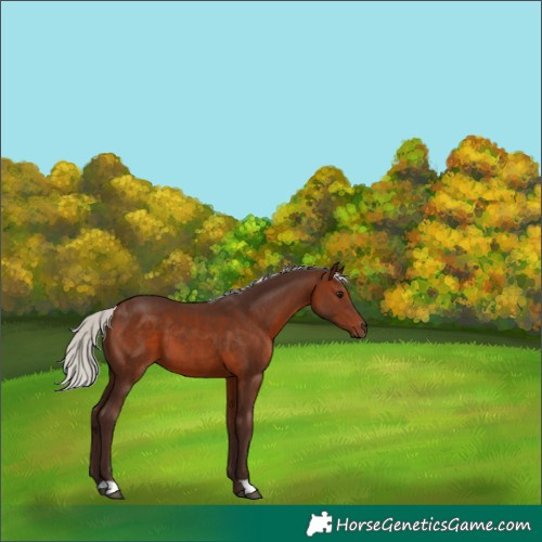 Horse Color:Silver Brown 