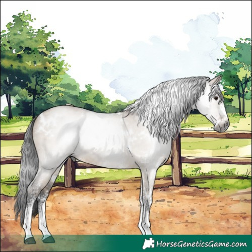 Horse Color:Gray White Spotted Brown Dun Sabino 
