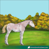 Horse Color:Painted Plaid Silver Sable Cream Champagne Ice Onyx Sabino Tobiano Frame