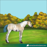 Horse Color:Watercolor White Spotted Silver Bay Ice Splash  and Void Watercolor Sable Champagne Onyx Sabino Frame 