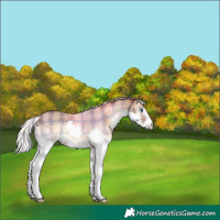 Horse Color:Plaid White Spotted Silver Brown Onyx Splash