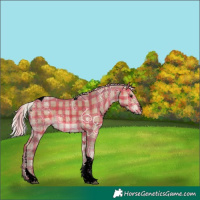 Horse Color:Void Plaid Silver Bay Ice Sabino Tobiano
