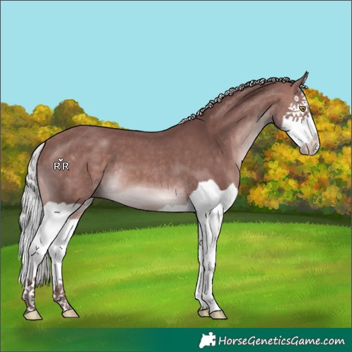 Horse Color:Platinum Chocolate Silver Brown Splash