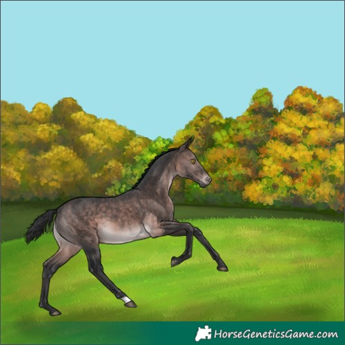 Horse Color:Platinum Brown 