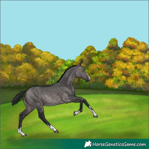 Horse Color:Platinum Brown Dun 