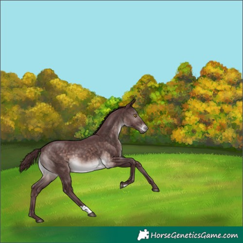 Horse Color:Platinum Chocolate Brown 