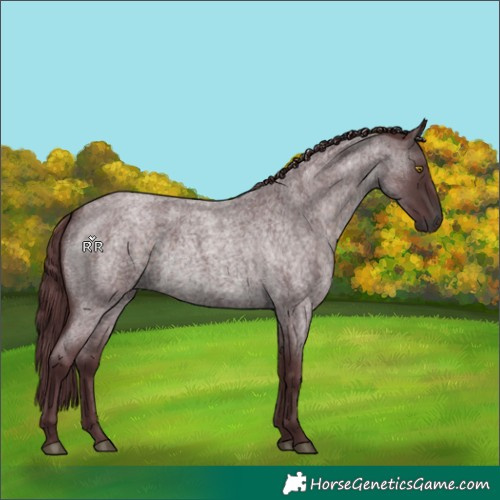 Horse Color:Platinum White Spotted Chocolate Brown Roan