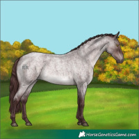 Horse Color:Platinum Chocolate Brown Roan 
