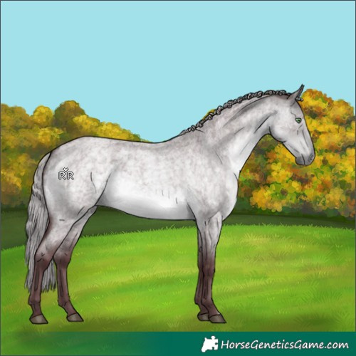 Horse Color:Platinum Chocolate Silver Buckskin Roan Dun 