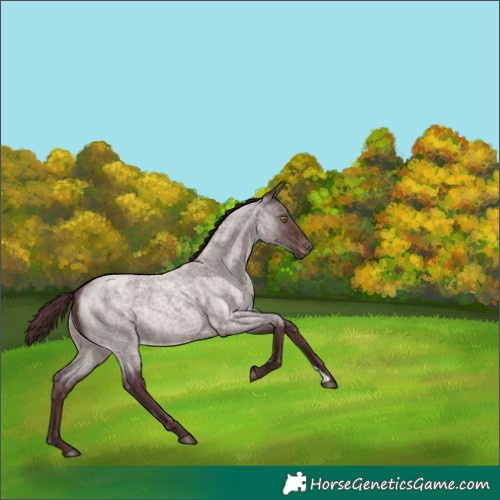 Horse Color:Platinum Chocolate Brown Roan Varnish 