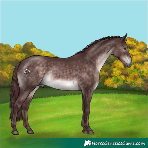 Horse Color:Platinum Chocolate Brown 