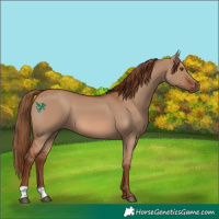 Horse Color:Red Dun 