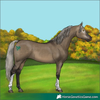 Horse Color:Gray Silver Brown Dun Tobiano 