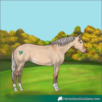 Horse Color:Silver Bay Dun 