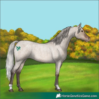 Horse Color:Silver Brown Roan Dun Varnish 