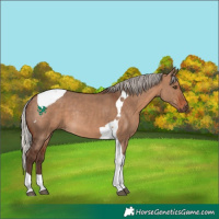 Horse Color:Silver Bay Dun Tobiano Rabicano 