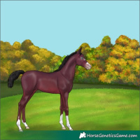 Horse Color:Gray Sable Champagne 