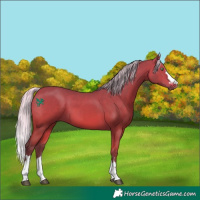 Horse Color:Silver Bay 