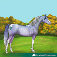 Horse Color:Buckskin Pearl Dun Tobiano 