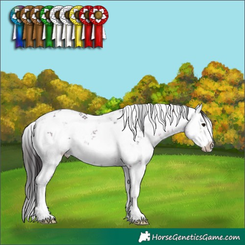 Horse Color:Brown Sabino 