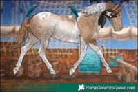 Horse Color:Black Pearl Tobiano 