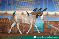 Horse Color:Black Pearl Sabino