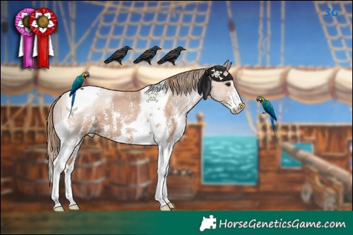 Horse Color:Black Pearl Sabino Tobiano 