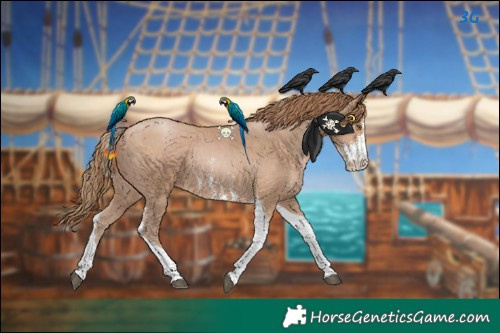 Horse Color:Black Pearl Sabino Tobiano 