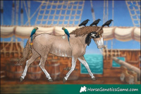 Horse Color:Black Pearl Sabino Tobiano