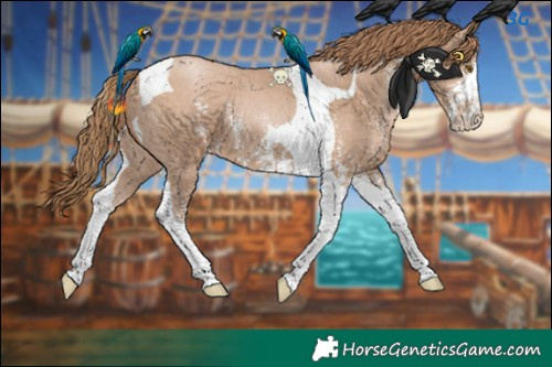 Horse Color:Black Pearl Sabino Tobiano 