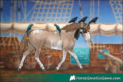 Horse Color:Black Pearl Sabino Tobiano 