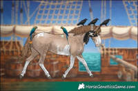 Horse Color:Black Pearl Sabino Tobiano