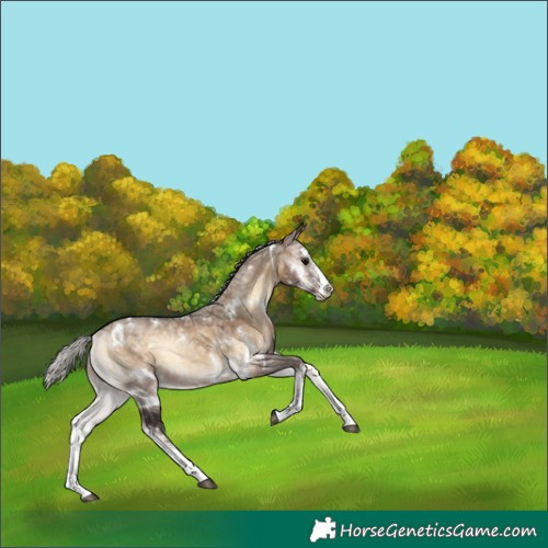 Horse Color:White Spotted Silver Brown Ice Onyx Sabino 