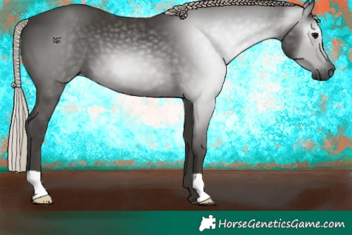 Horse Color:Gray Silver Black 