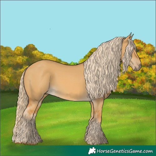 Horse Color:Palomino Dun