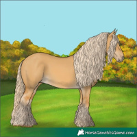 Horse Color:Palomino Dun 