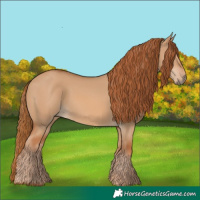 Horse Color:Red Dun 